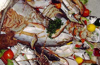 fresh fish